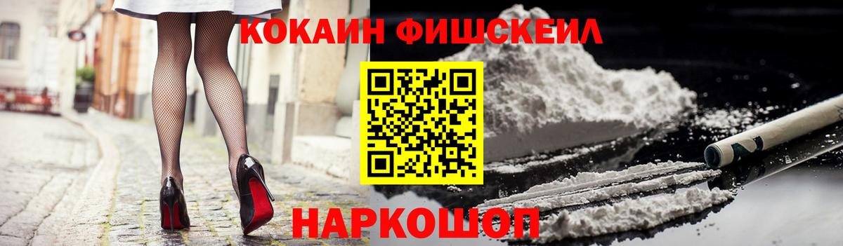 Энгельс  Cocaine Fish Scale  купить закладку  Вход с VPN 